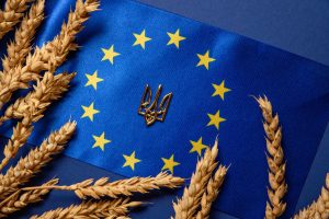 Money for Ukraine: Between Speed and Control